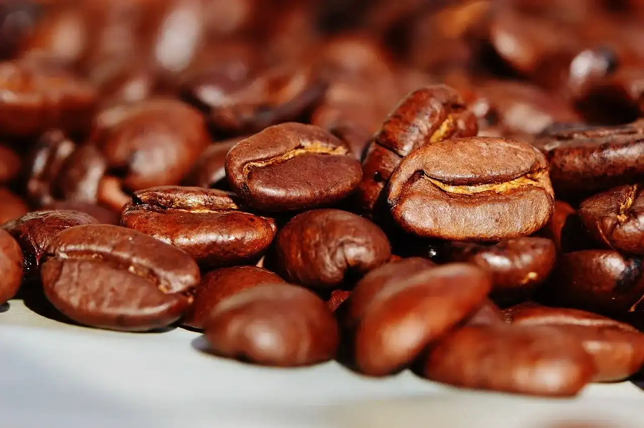 Recetas saludables a base de café