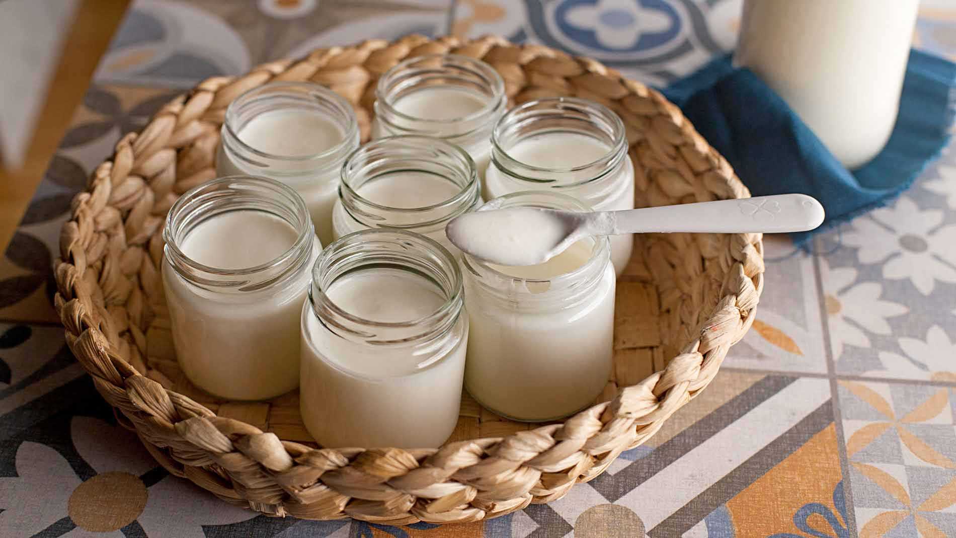 Yogur casero, receta sencilla y transformadora | LA COCINA SANA