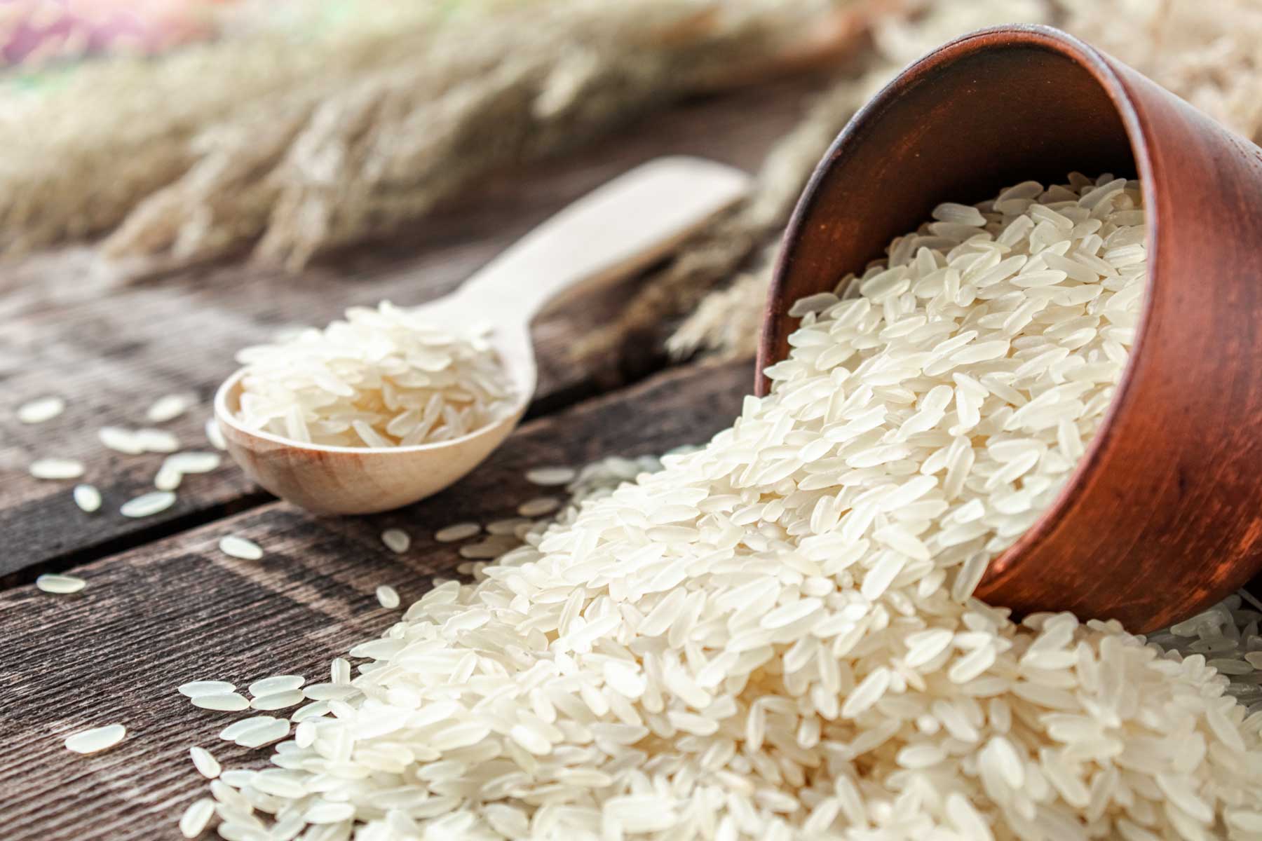 Cómo escoger el arroz para cocinar mejor | LA COCINA SANA